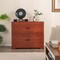 Costway 2-Drawer Wood Lateral File Cabinet with Adjustable Bars for Home Office White/Walnut